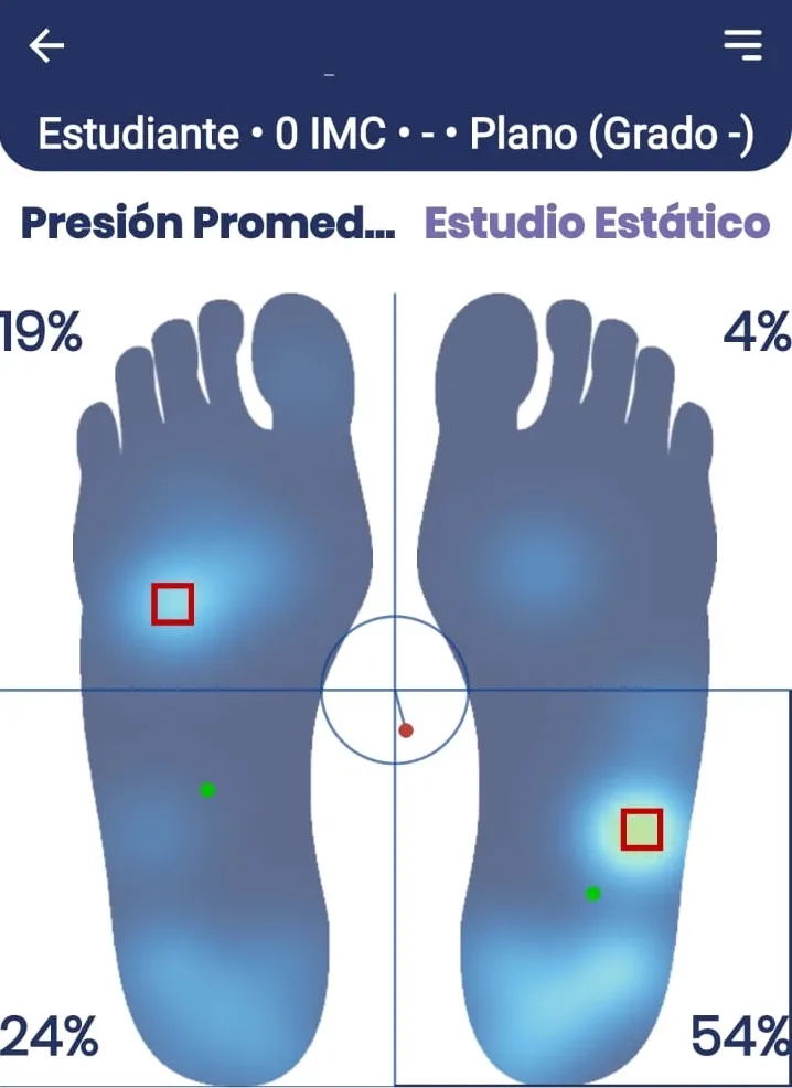 Informe del estudio estático: presión promedio de ambos pies en posición parada con porcentajes por cuadrante